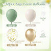 A set of 60 balloons including sage green, sand white, gold confetti, and metallic gold balloons.