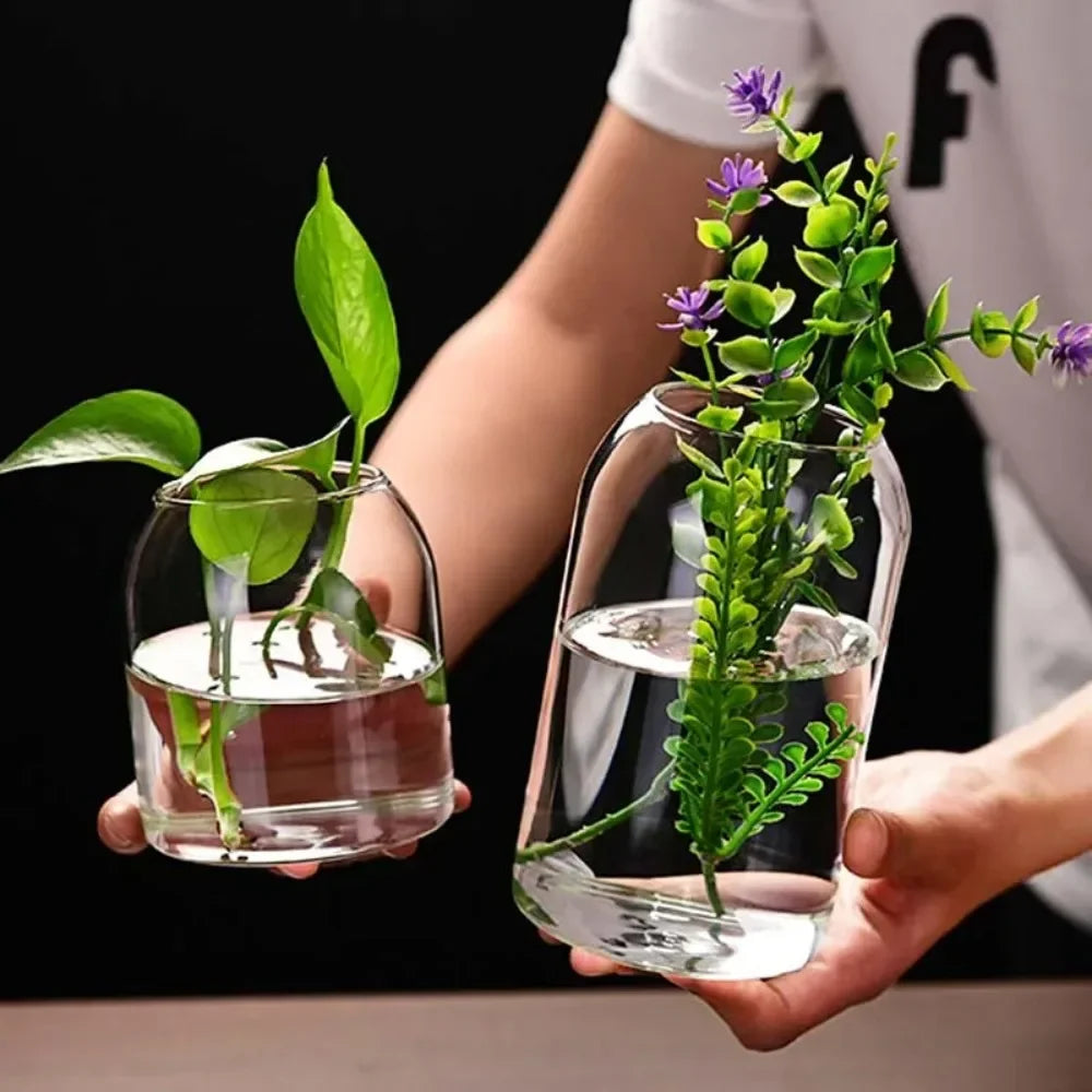 A hand holds a clear glass hydroponic vase containing green plants on a black background.