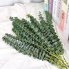 A bundle of artificial eucalyptus stems with realistic green leaves laid on white fabric next to books.