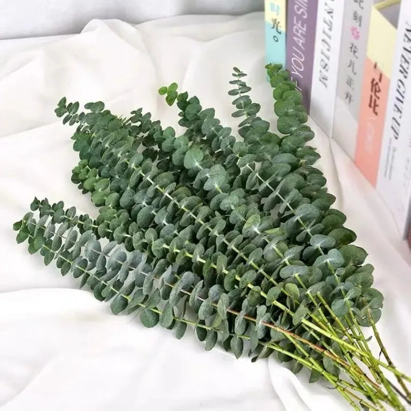 A bundle of artificial eucalyptus stems with realistic green leaves laid on white fabric next to books.