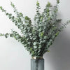A bouquet of artificial eucalyptus stems with silvery-green leaves displayed in a glass vase.