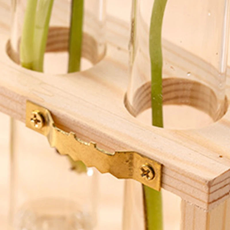 A wooden hydroponic planter holding test tube glass vases with green plant shoots.