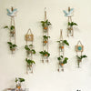 A collection of decorative glass terrariums featuring various indoor plants and floral arrangements hanging on a white wall.