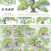 Collection de ruban adhésif vert naturel pour le masquage, avec diverses conceptions et applications pour l'aménagement paysa