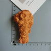 A golden brown, irregularly shaped food-like object is placed next to a ruler for scale.