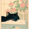 Vintage tiger cat wall art poster featuring a black cat resting on white fluff with pink flowers and glass bottles.