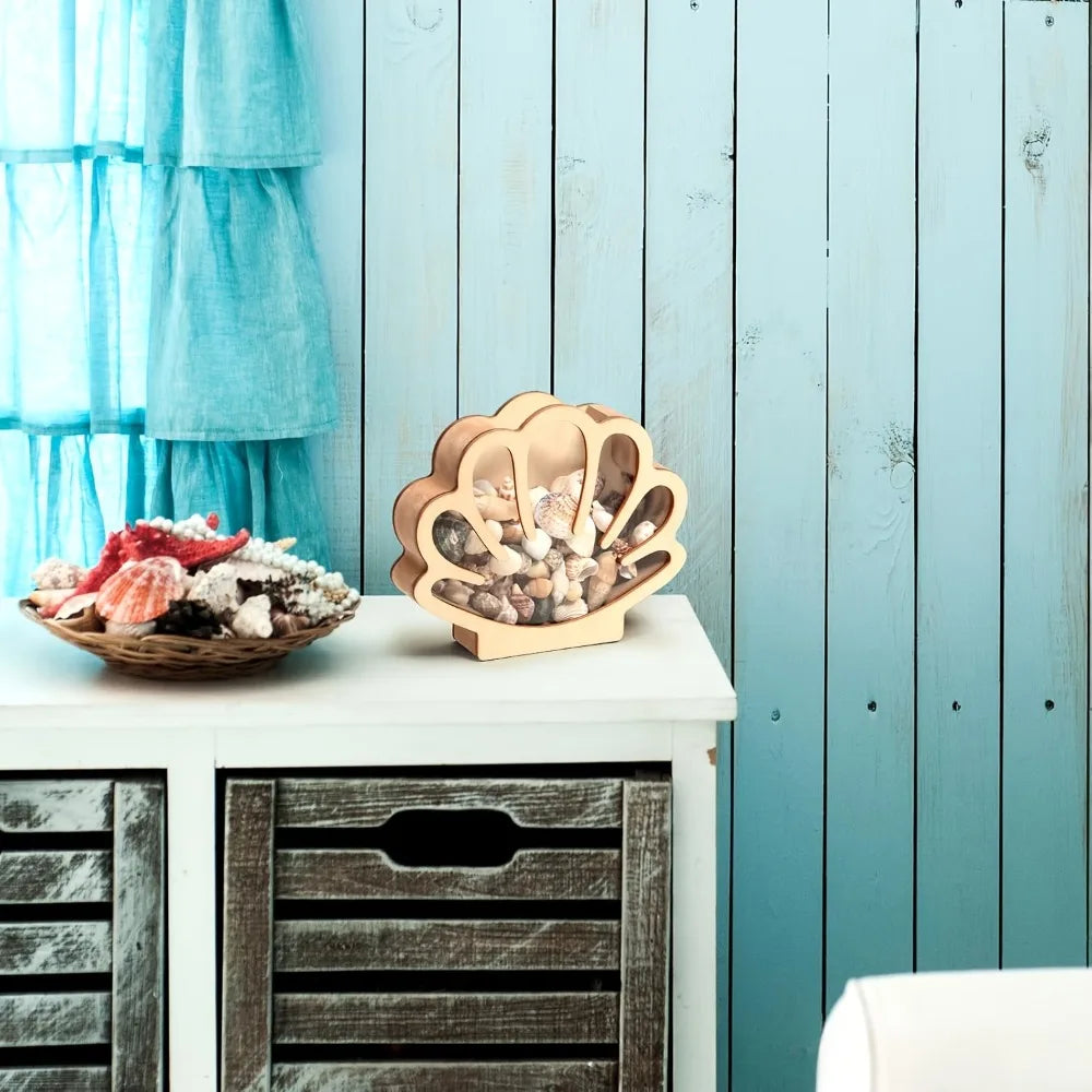 Wooden Seashell Display Box with Acrylic Window