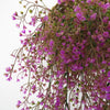A close-up of artificial plant vines with small purple flowers and green leaves forming a hanging arrangement.