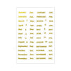 Transparent PET Index Tab Stickers with Hot Stamping – Monthly & Budget Organizers