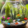 A glass terrarium filled with various glow-in-the-dark resin turtle figurines and green succulent plants.