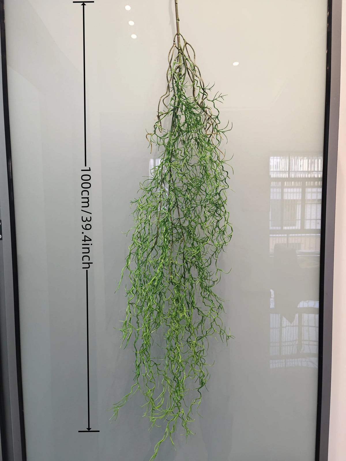 Artificial hanging ivy vine displayed against a vertical measuring scale.