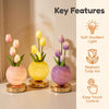A set of realistic tulip art LED night lights in soft gradient colors with touch control features.