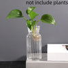 A clear glass vase with a striped pattern holds a green plant leaves on a white surface.