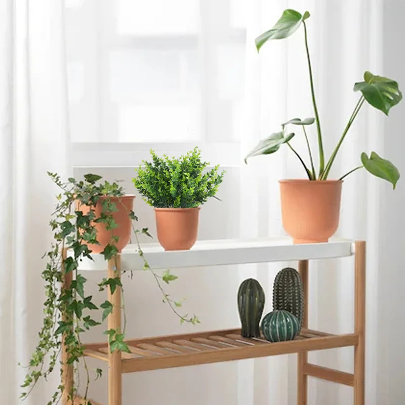 Une plante d'eucalyptus artificielle en pot et diverses succulentes sur une étagère en bois près d'une fenêtre.
