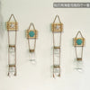 Four sets of decorative glass terrariums featuring starfish and seashell decorations