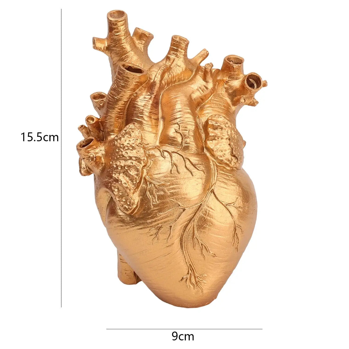 A golden heart-shaped resin sculpture showing internal vascular details.