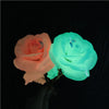 Two glowing roses, one pink and one blue-green, are held against a dark background.