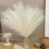 A bundle of fluffy, cream-colored pampas grass used as a boho home decor arrangement.