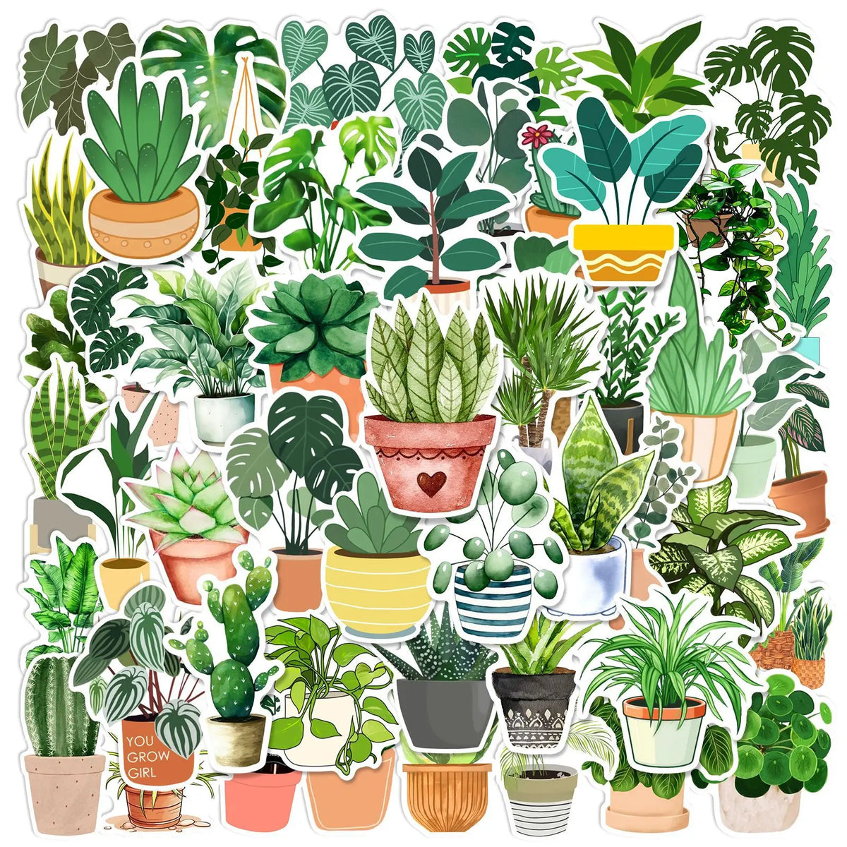 A collection of various green and variegated succulent plants in terracotta and ceramic pots.