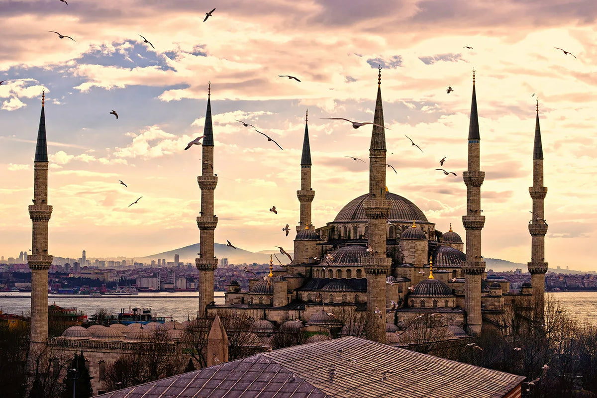 A panoramic view of the Hagia Sophia and surrounding structures at sunset with birds flying above.