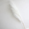 A close-up of a large, white artificial pampas grass stem against a bright white background.