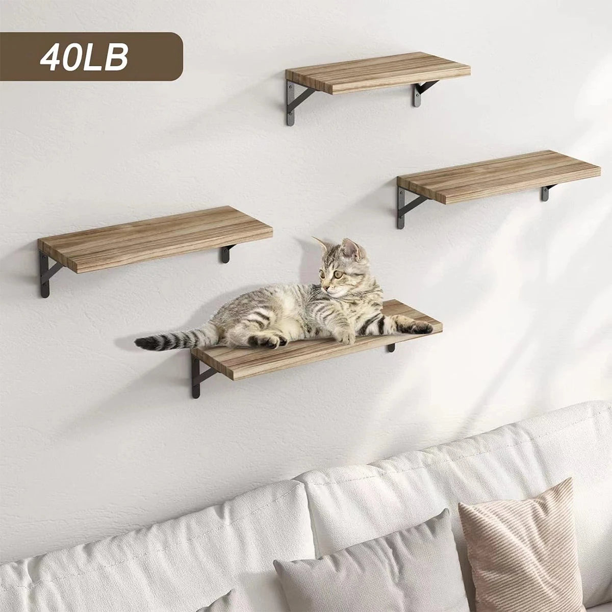 Four natural wood floating wall shelves displaying a cat on a white wall.
