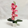 A vertical arrangement of pink and magenta orchid flowers on a green leaf, potted in a white container.