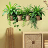 A display of various green potted plants hanging on a wooden shelf against a beige wall.
