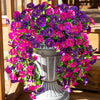 A vibrant silk morning glory vine wreath featuring purple and pink flowers displayed in a white pedestal vase.