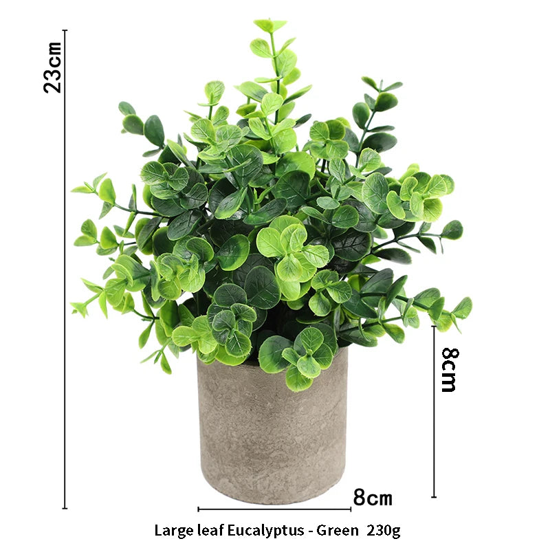 A potted green eucalyptus plant with small leaves in a rustic gray pot.