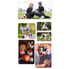 A collection of DIY paintable masks featuring foxes and cats, including animal-themed costumes and craft kits.