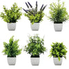 Mini Artificial Bonsai Plants Set for Shelf & Desk Decor