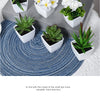 A set of six small potted artificial succulent plants displayed on a gray box and a blue rug.