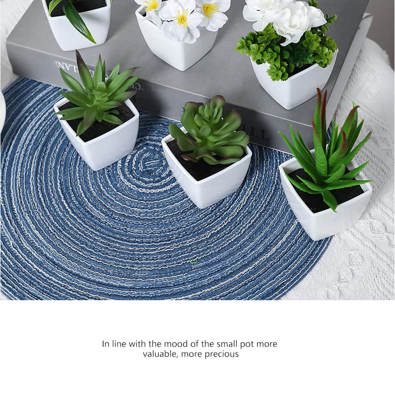 A set of six small potted artificial succulent plants displayed on a gray box and a blue rug.