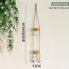 A hanging decorative glass terrarium with a natural twine hanger and an orange starfish decoration.