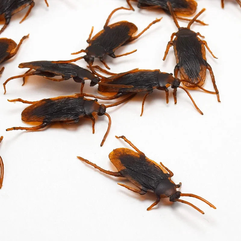 Several dark brown and black plastic cockroach gag toys scattered on a white background.