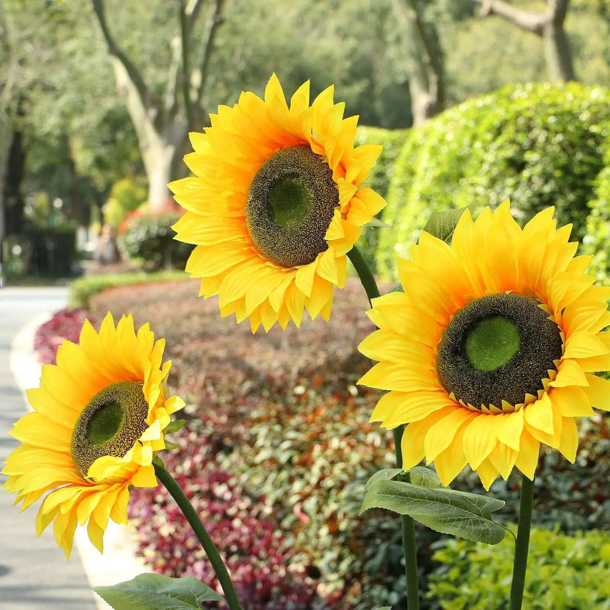 A bright yellow sunflower with a dark center is shown in a garden setting.