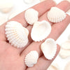 Natural Sea Snail Shell Beads for DIY Jewelry Making