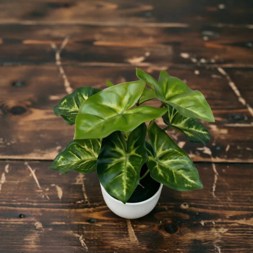 A vibrant green artificial pothos plant in a white pot sitting on a dark wooden surface.