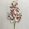 A stem of Lifelike Butterfly Orchid with 21 blooms featuring pink, white, and reddish-orange petals.