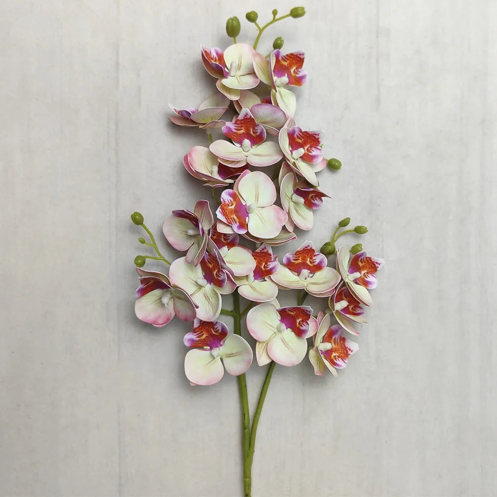 A stem of Lifelike Butterfly Orchid with 21 blooms featuring pink, white, and reddish-orange petals.