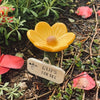 A yellow flower with an orange center is growing from a green stem in dark soil amidst small green plants.