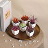 A set of mini artificial succulent decorations in various shades of green and orange potted in white cups on a wooden tray.