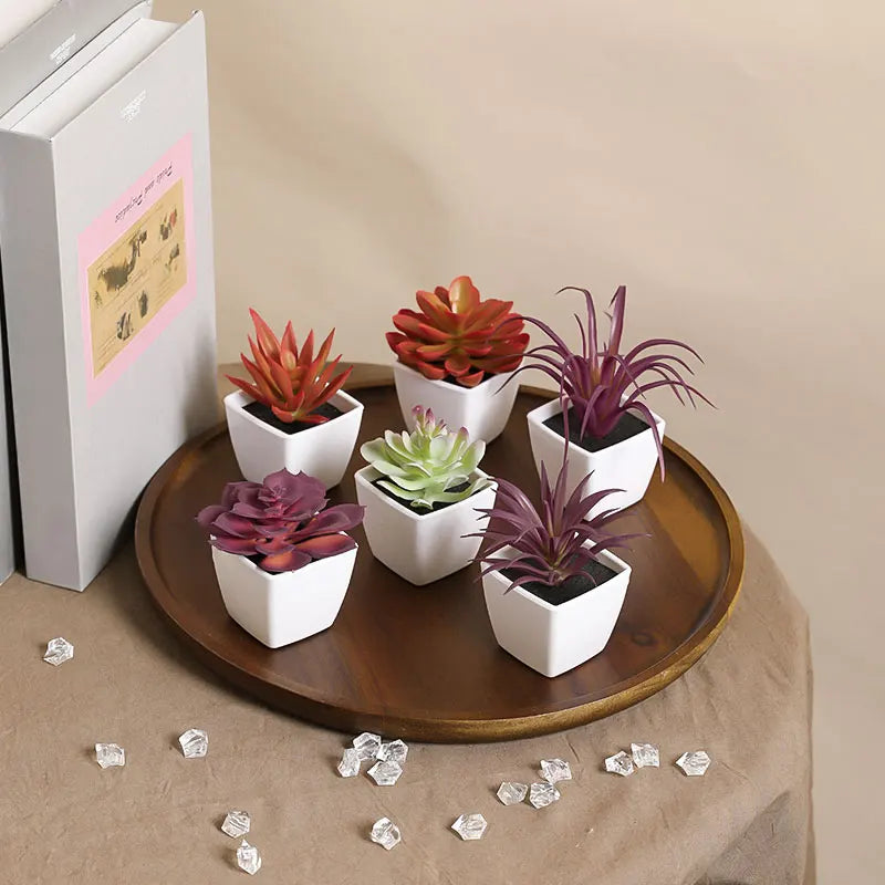 A set of mini artificial succulent decorations in various shades of green and orange potted in white cups on a wooden tray.