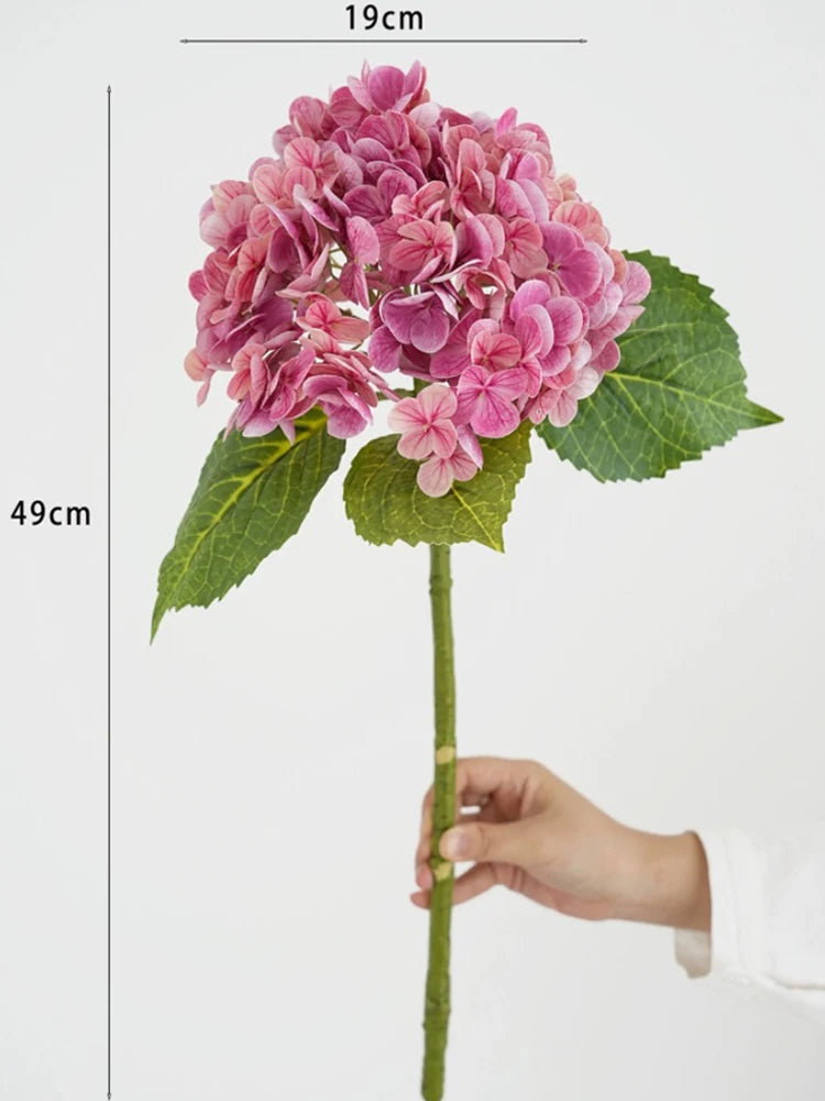 A pink hydrangea flower branch with green leaves is shown against a white background.