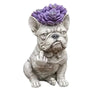 Grumpy French Bulldog Resin Planter Set