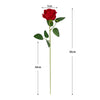 A single red artificial rose with green leaves, shown next to a height measurement scale.