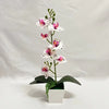 A vertical arrangement of white and pink orchid-like flowers on a green stem in a white pot.