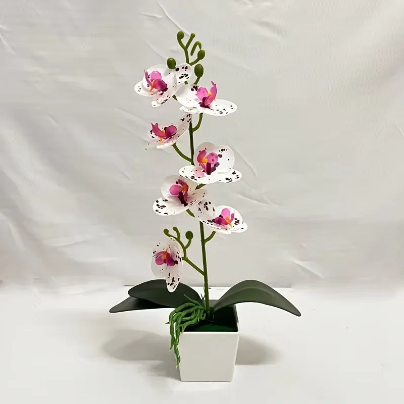 A vertical arrangement of white and pink orchid-like flowers on a green stem in a white pot.