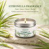 A jar of Citronella scented candle with a lit wick resting on a light-colored stone surrounded by green lemongrass stalks.